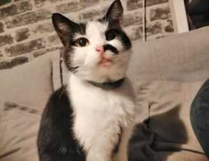 home tips and tricks heartomenal