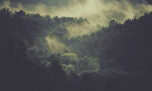 home tips heartomenal