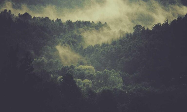 home tips heartomenal