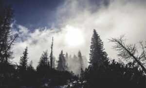 house renovation heartomenal