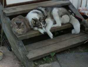 renovation guide heartomenal