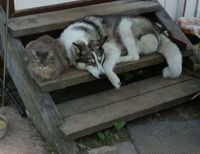 renovation guide heartomenal