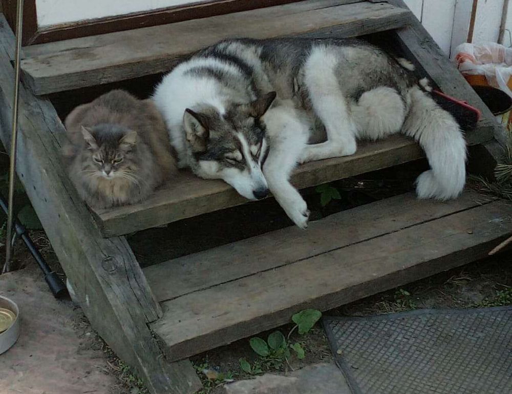 renovation guide heartomenal