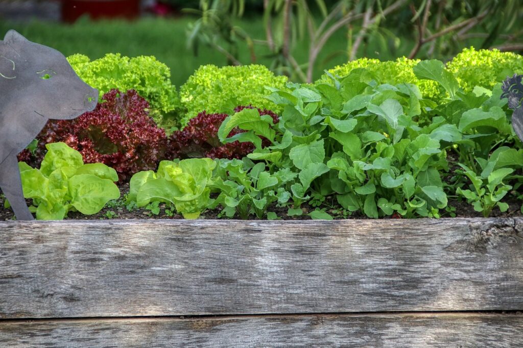 raised bed gardening tips