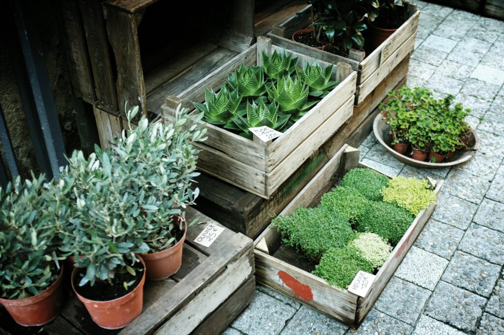 diy garden boxes