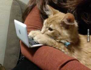 which home improvements pay off heartomenal