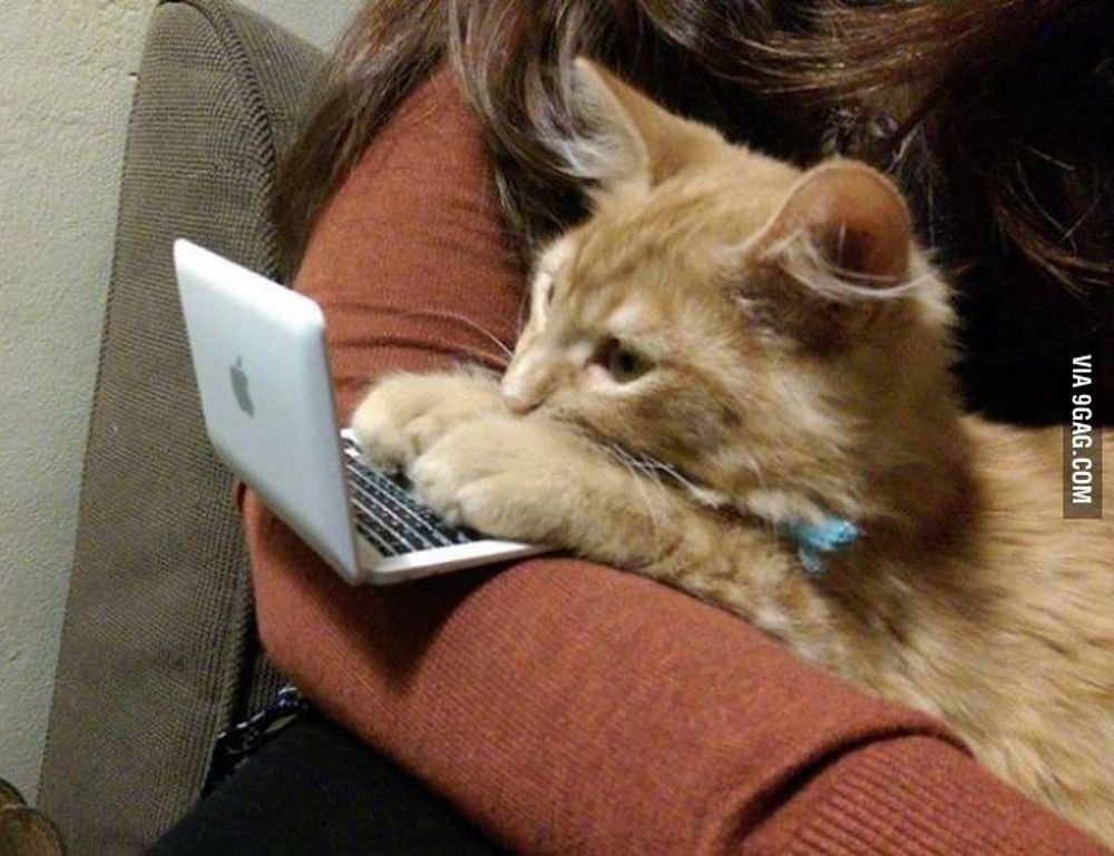 which home improvements pay off heartomenal