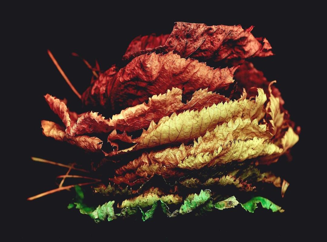 Head-to-Head: A Statistical Breakdown of the Rivalry