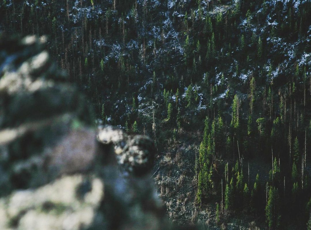 Strategic Placements: Where to Get a Korean-Style Tattoo