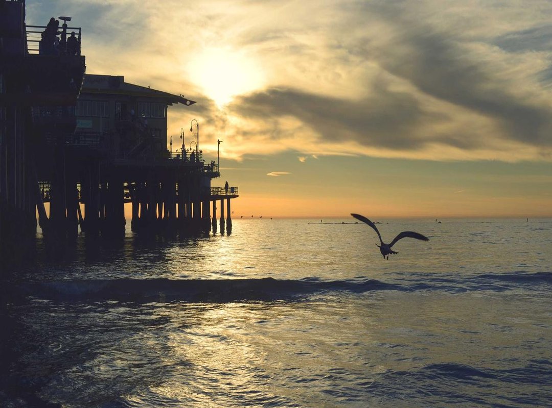 Free vs. Premium: Understanding Access Levels