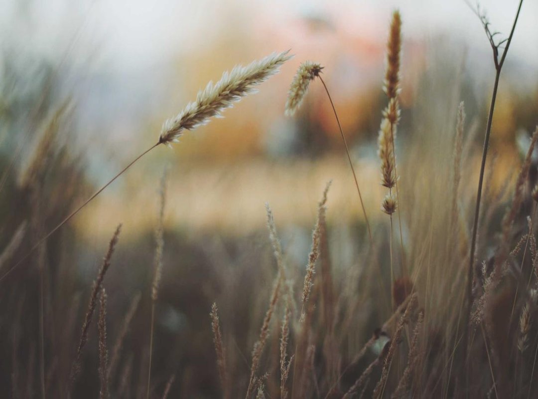 Creative Mashups: 'What If' Scenarios for Unique Art