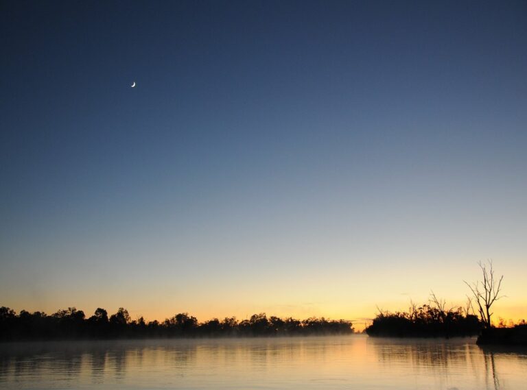 jamal murray ig story 2020