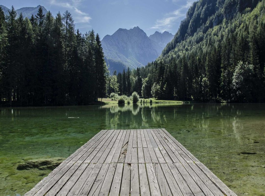 Decoding the Details: A Closer Look at Key Lines