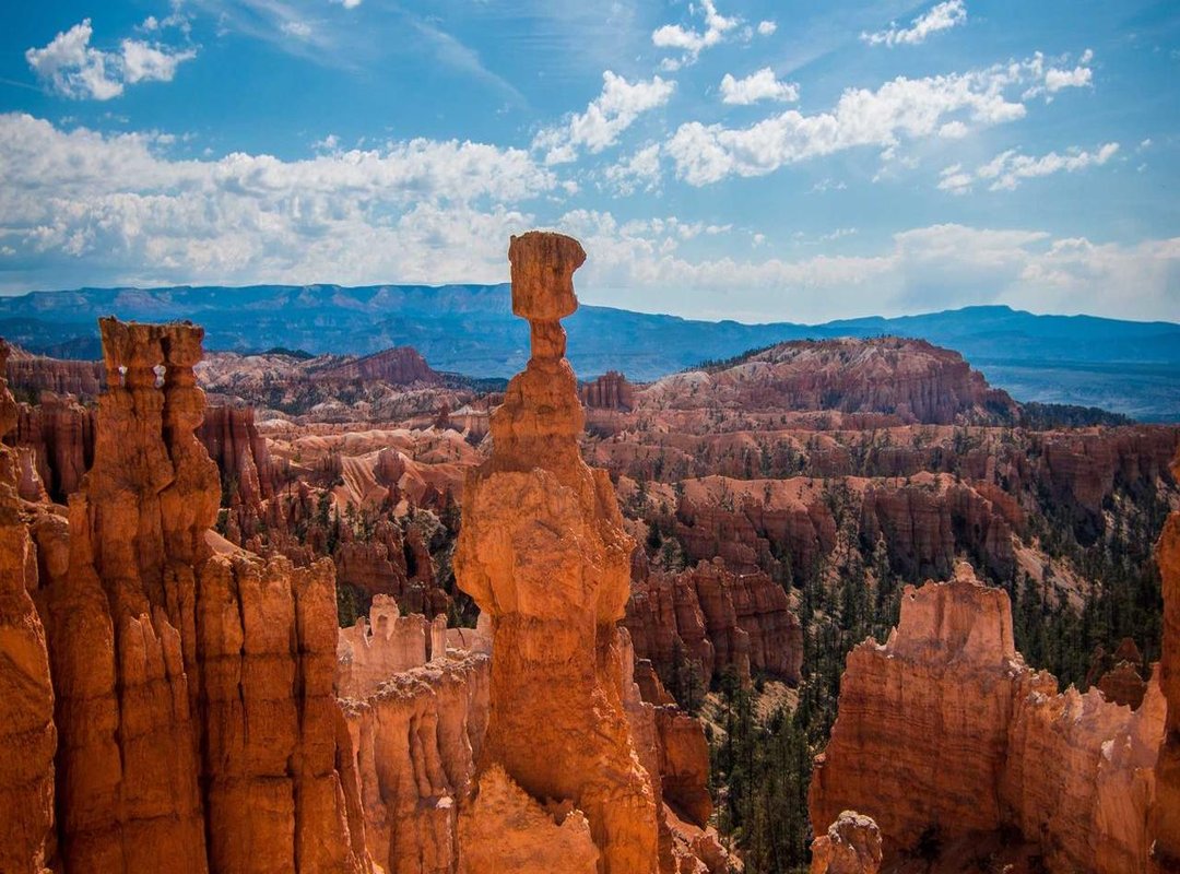 How to Use This Guide: From Idea to Final Design