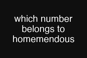 which number belongs to homemendous