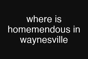 where is homemendous in waynesville